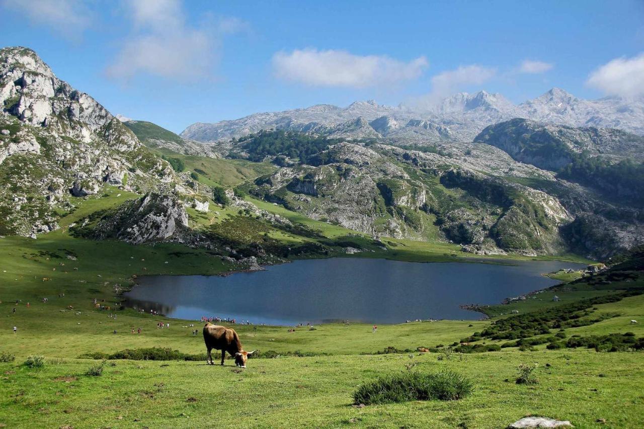 Bimenes Casa Noval Zona Rural En El Centro De Asturias 아파트 외부 사진